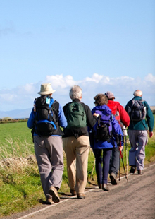 NOG GROUP BUS TRASNFERS - Serveis - Col.lectius i Associacions